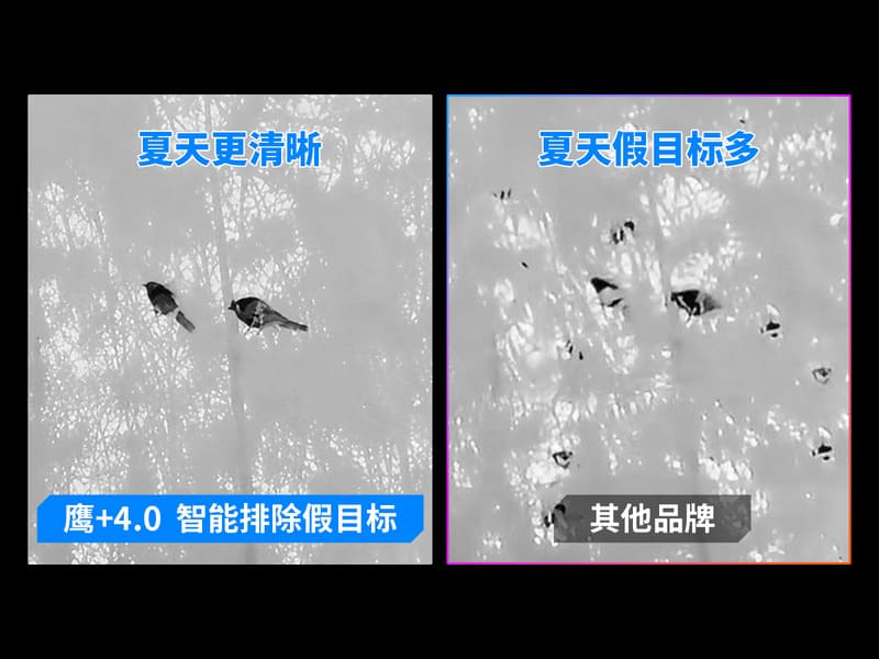 热成像仪的鹰+4.0算法