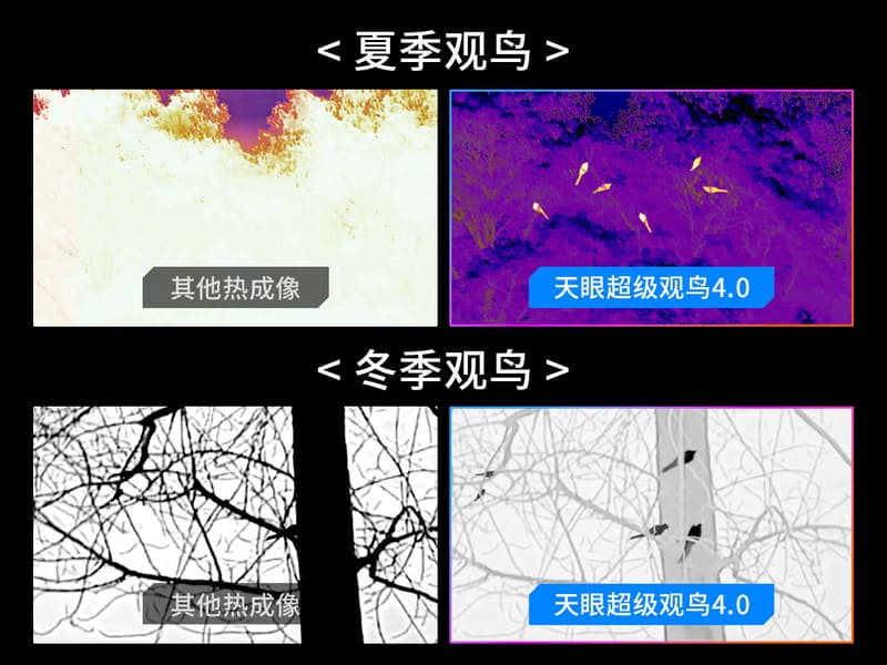 热成像仪的超级观鸟4.0